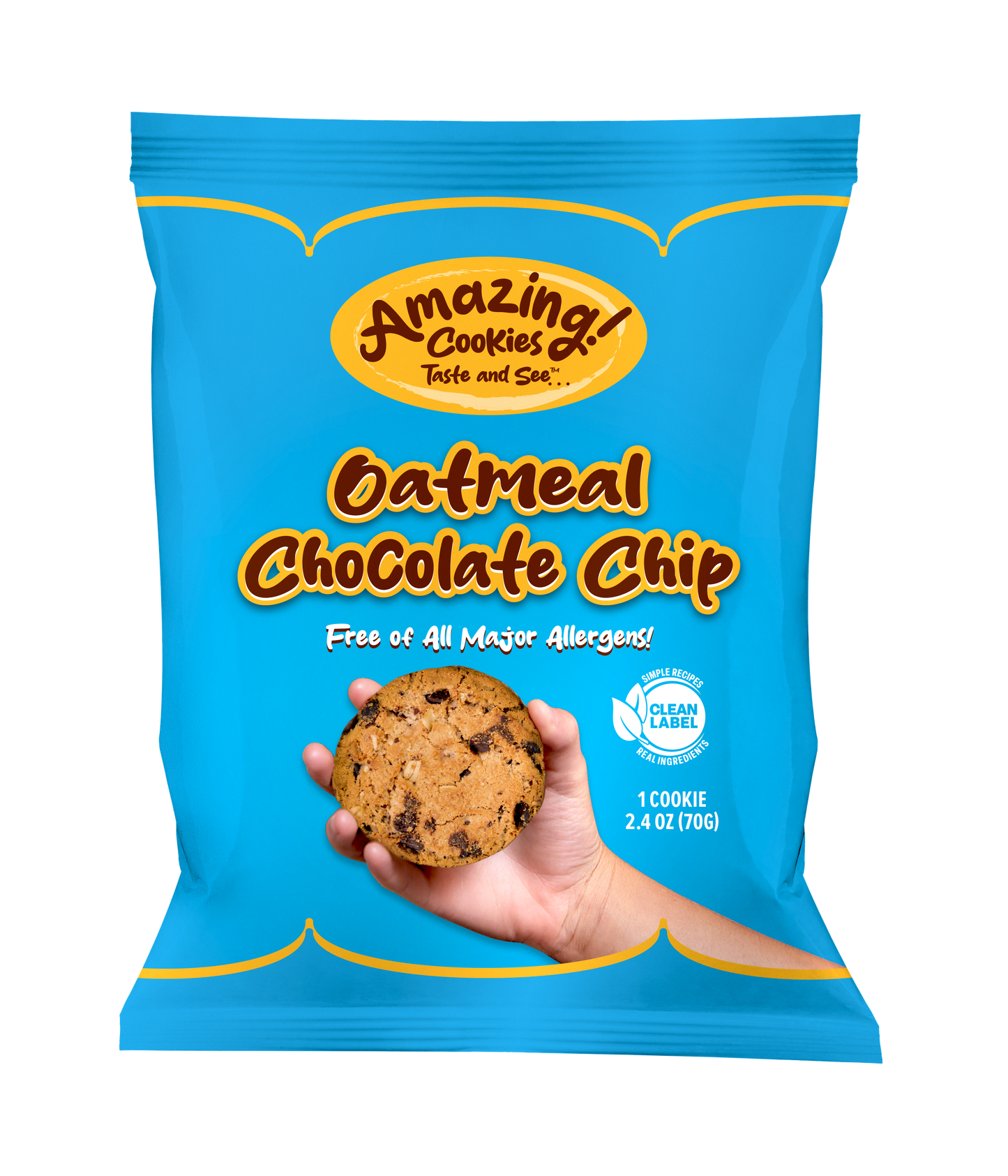 Oatmeal Chocolate Chip