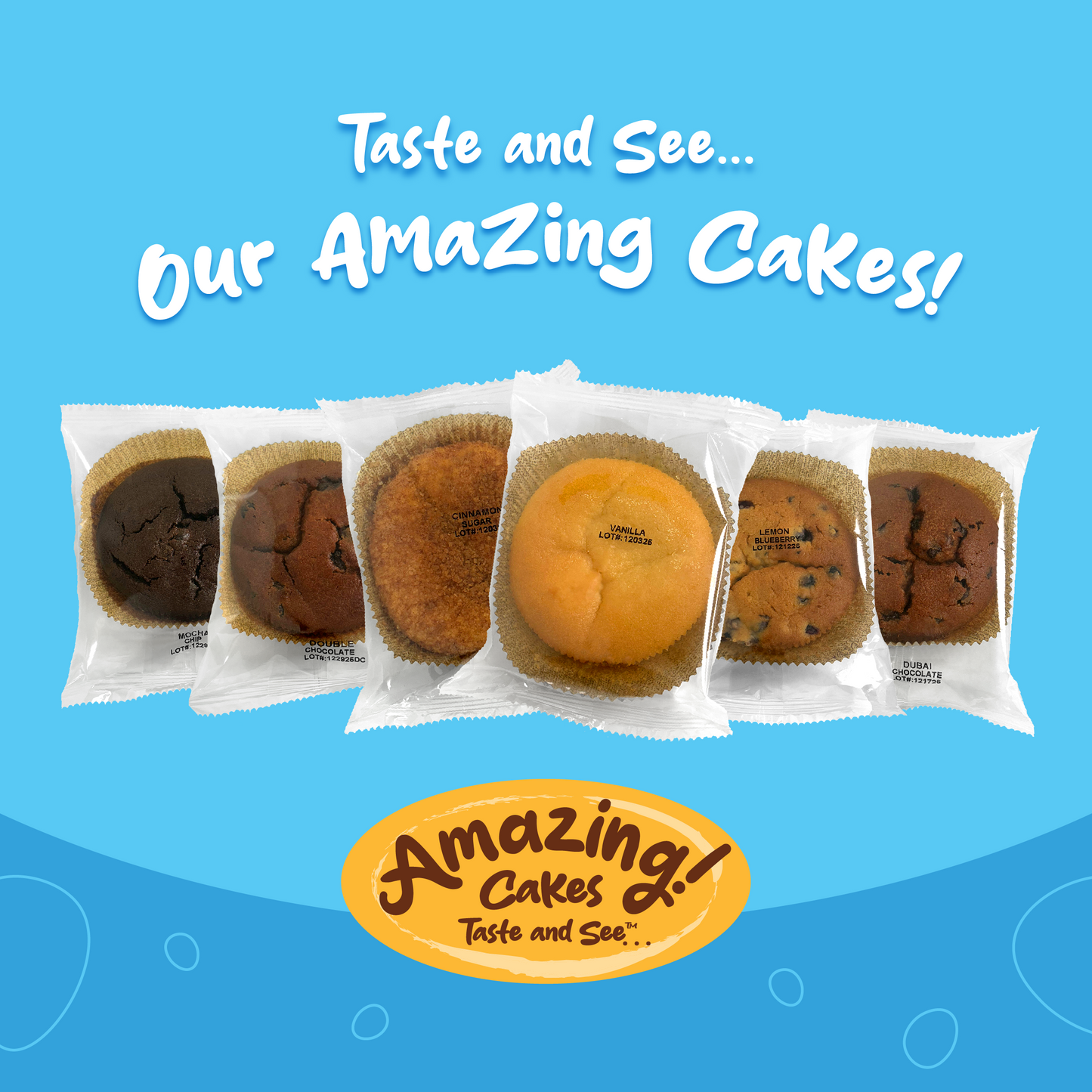 Food Service – Amazing Cakes – Master Case – 24 Cakes