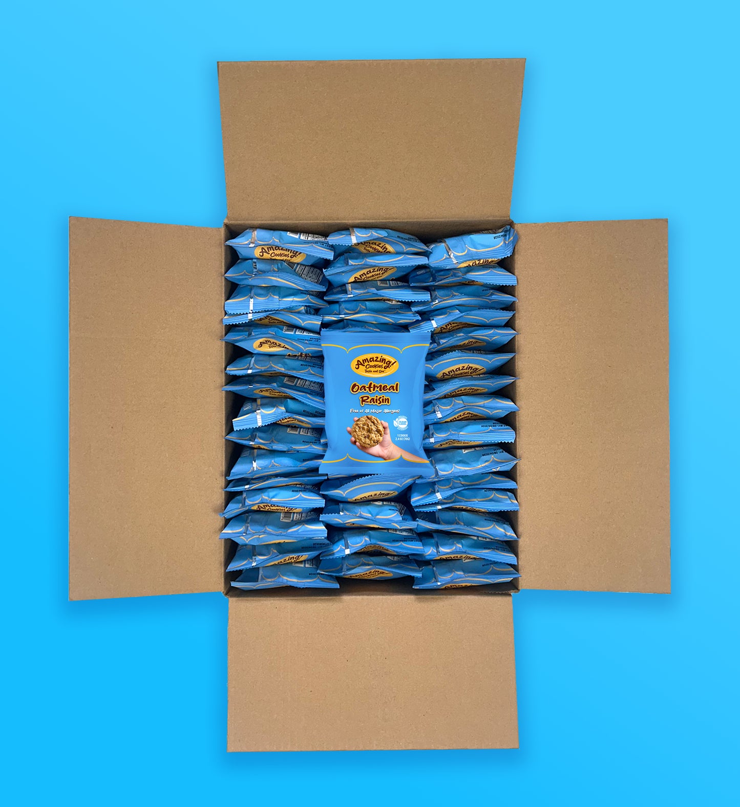 Oatmeal Raisin Cookies - Master Case (90 Cookies)